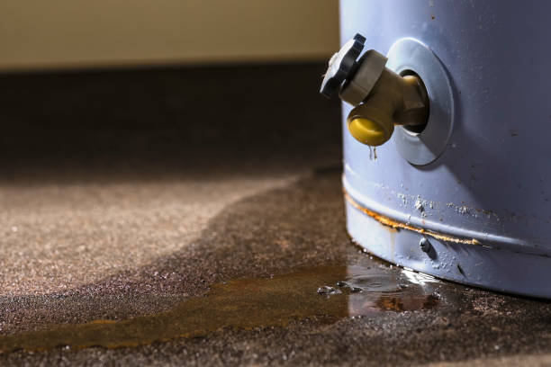 Best Sewage cleanup and water damage restoration  in Selbyville, DE
