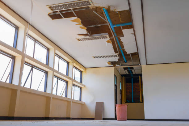 Best Fire Damage Restoration  in Selbyville, DE