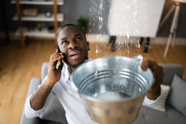 Best Flooded house restoration  in Selbyville, DE