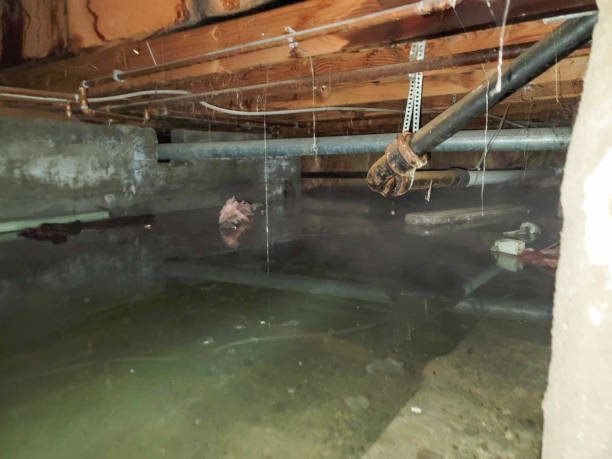 24/7 water damage repair in Selbyville, DE