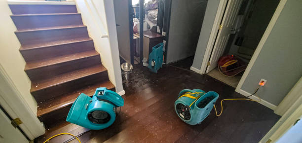 Best 24-hour water damage restoration  in Selbyville, DE