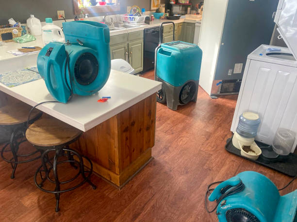 Best 24-hour water damage restoration  in Selbyville, DE