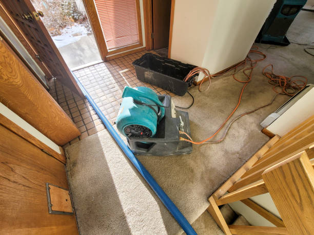 Best Emergency water damage restoration  in Selbyville, DE