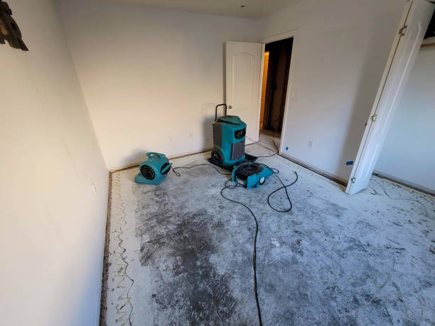 Best Water damage restoration near me  in Selbyville, DE