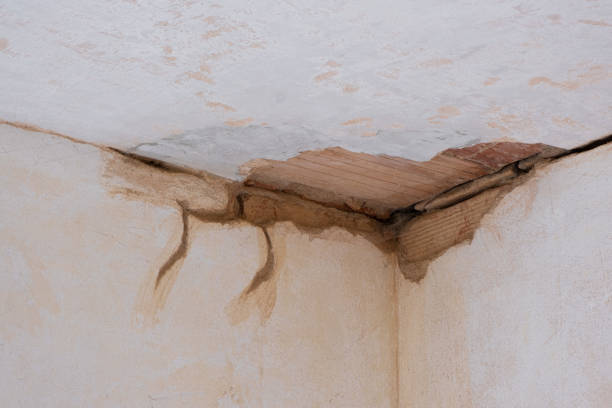 Trusted Selbyville, DE Water damage restoration Experts