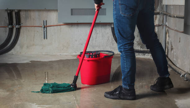Best Sewage cleanup and water damage restoration  in Selbyville, DE