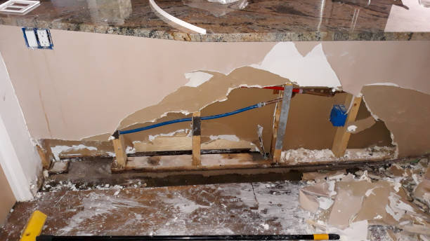 Best Water damage restoration near me  in Selbyville, DE