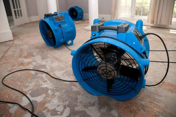 Best Ceiling water damage repair  in Selbyville, DE