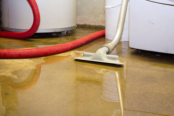 Best Water damage restoration services  in Selbyville, DE