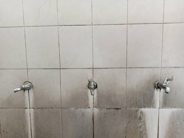 Best Sewage cleanup and water damage restoration  in Selbyville, DE
