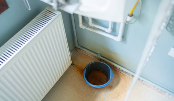 Best Water damage restoration specialists  in Selbyville, DE