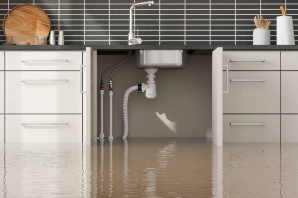 Best Commercial water damage restoration  in Selbyville, DE