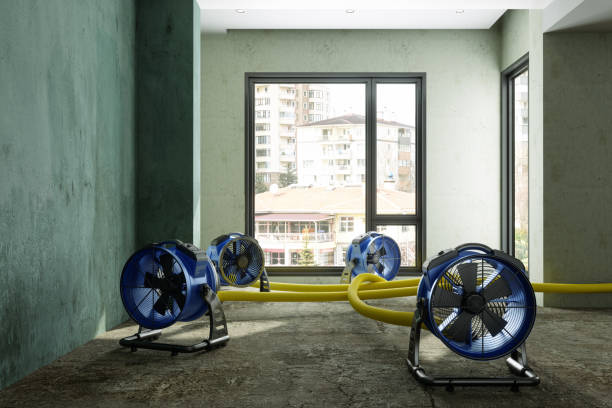 Best Local water damage restoration  in Selbyville, DE