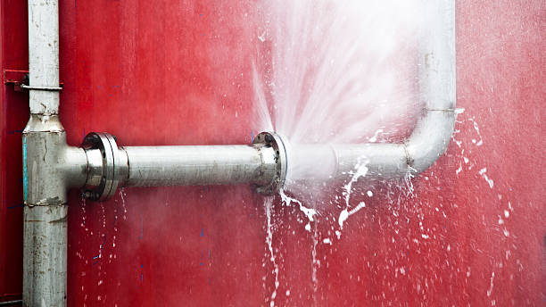 Best Water damage restoration near me  in Selbyville, DE